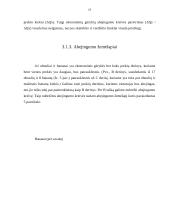 Naudingumo samprata ir vartotojo pasirinkimas 17 puslapis