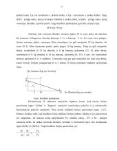 Naudingumo samprata ir vartotojo pasirinkimas 20 puslapis