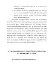 Naudingumo samprata ir vartotojo pasirinkimas 4 puslapis