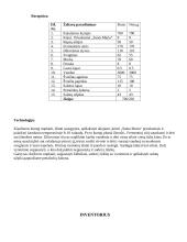 Kvalifikacijos egzamino, gamybinio darbo aprašymas 3 puslapis