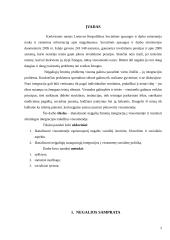 Neįgaliųjų integracija visuomenėje 2 puslapis