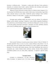 Norvegija. Geografines ypatybės ir lankomiausi objektai 11 puslapis