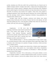 Norvegija. Geografines ypatybės ir lankomiausi objektai 12 puslapis