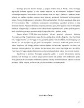 Norvegija. Geografines ypatybės ir lankomiausi objektai 15 puslapis