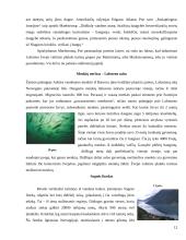 Norvegija. Geografines ypatybės ir lankomiausi objektai 10 puslapis