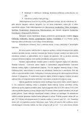 Mėsos sūdymas ir mikroorganizmai 6 puslapis