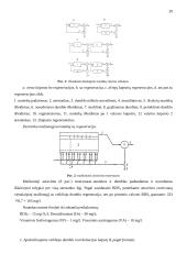 Nuotekų valyklos projektas 20 puslapis