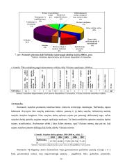 Miesto procesų valdymas: Šalčininkų rajono ūkio analizė 12 puslapis