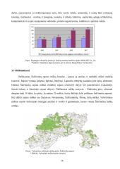 Miesto procesų valdymas: Šalčininkų rajono ūkio analizė 16 puslapis