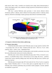 Miesto procesų valdymas: Šalčininkų rajono ūkio analizė 19 puslapis