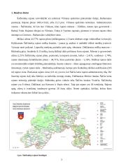 Miesto procesų valdymas: Šalčininkų rajono ūkio analizė 3 puslapis