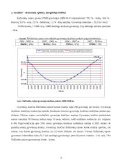 Miesto procesų valdymas: Šalčininkų rajono ūkio analizė 4 puslapis