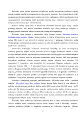 Miesto procesų valdymas: Šalčininkų rajono ūkio analizė 7 puslapis