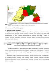 Miesto procesų valdymas: Šalčininkų rajono ūkio analizė 10 puslapis