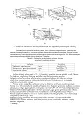 Modifikuota mediena 15 puslapis