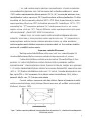 Modifikuota mediena 7 puslapis