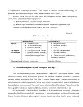 Organizacijos veiklos visuotinės kokybės vadybos atžvilgiu įvertinimas 6 puslapis