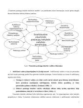Organizacijos veiklos visuotinės kokybės vadybos atžvilgiu įvertinimas 7 puslapis