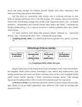 Organizacijos veiklos visuotinės kokybės vadybos atžvilgiu įvertinimas 8 puslapis
