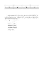 3 klasės mokinio psichologinė charakteristika 13 puslapis