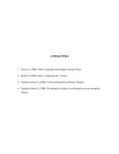 3 klasės mokinio psichologinė charakteristika 17 puslapis