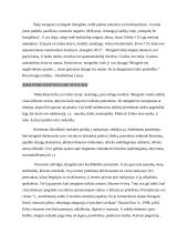 3 klasės mokinio psichologinė charakteristika 4 puslapis