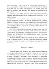 Organizuotas nusikalstamumas 17 puslapis