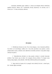 Paauglių alkoholizmas ir nevyriausybinės organizacijos (NVO) 19 puslapis