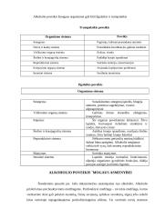 Paauglių alkoholizmas ir nevyriausybinės organizacijos (NVO) 8 puslapis