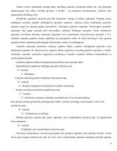 Pajamų ir sąnaudų apskaita 12 puslapis