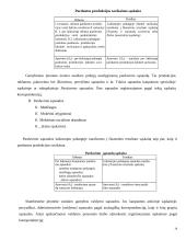 Pajamų ir sąnaudų apskaita 14 puslapis