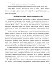 Pajamų ir sąnaudų apskaita 15 puslapis