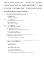 Pajamų ir sąnaudų apskaita 16 puslapis