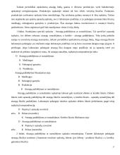 Pajamų ir sąnaudų apskaita 17 puslapis