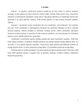 Pajamų ir sąnaudų apskaita 3 puslapis