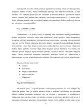 Odos ir jų pirminis apdorojimas 11 puslapis