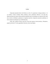 Odos ir jų pirminis apdorojimas 3 puslapis