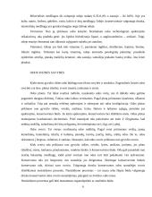 Odos ir jų pirminis apdorojimas 6 puslapis