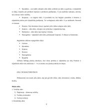 Odos ir jų pirminis apdorojimas 8 puslapis