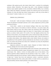 Odos ir jų pirminis apdorojimas 10 puslapis