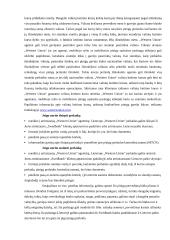 Pinigų pervedimo operacijų galimybės fiziniams asmenims Lietuvoje 5 puslapis