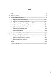 Paklausos elastingumo teorija ir jos taikymas praktikoje 2 puslapis