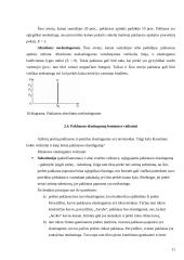 Paklausos elastingumo teorija ir jos taikymas praktikoje 11 puslapis