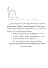 Paklausos elastingumo teorija ir jos taikymas praktikoje 14 puslapis