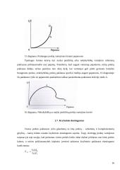 Paklausos elastingumo teorija ir jos taikymas praktikoje 16 puslapis