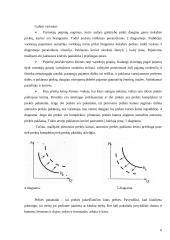 Paklausos elastingumo teorija ir jos taikymas praktikoje 6 puslapis