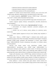 Palyginamoji mažmeninio (vartotojiško) lizingo analizė: UAB "Snoro lizingas" ir UAB "Ūkio banko lizingas" 11 puslapis