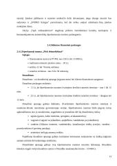 Palyginamoji mažmeninio (vartotojiško) lizingo analizė: UAB "Snoro lizingas" ir UAB "Ūkio banko lizingas" 12 puslapis