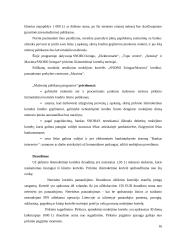 Palyginamoji mažmeninio (vartotojiško) lizingo analizė: UAB "Snoro lizingas" ir UAB "Ūkio banko lizingas" 15 puslapis