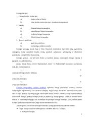 Palyginamoji mažmeninio (vartotojiško) lizingo analizė: UAB "Snoro lizingas" ir UAB "Ūkio banko lizingas" 4 puslapis